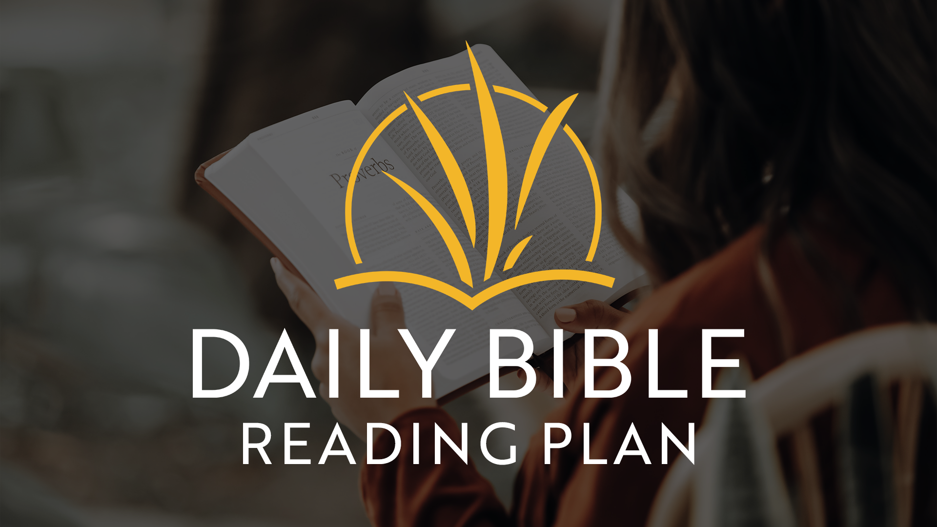 DailyBible